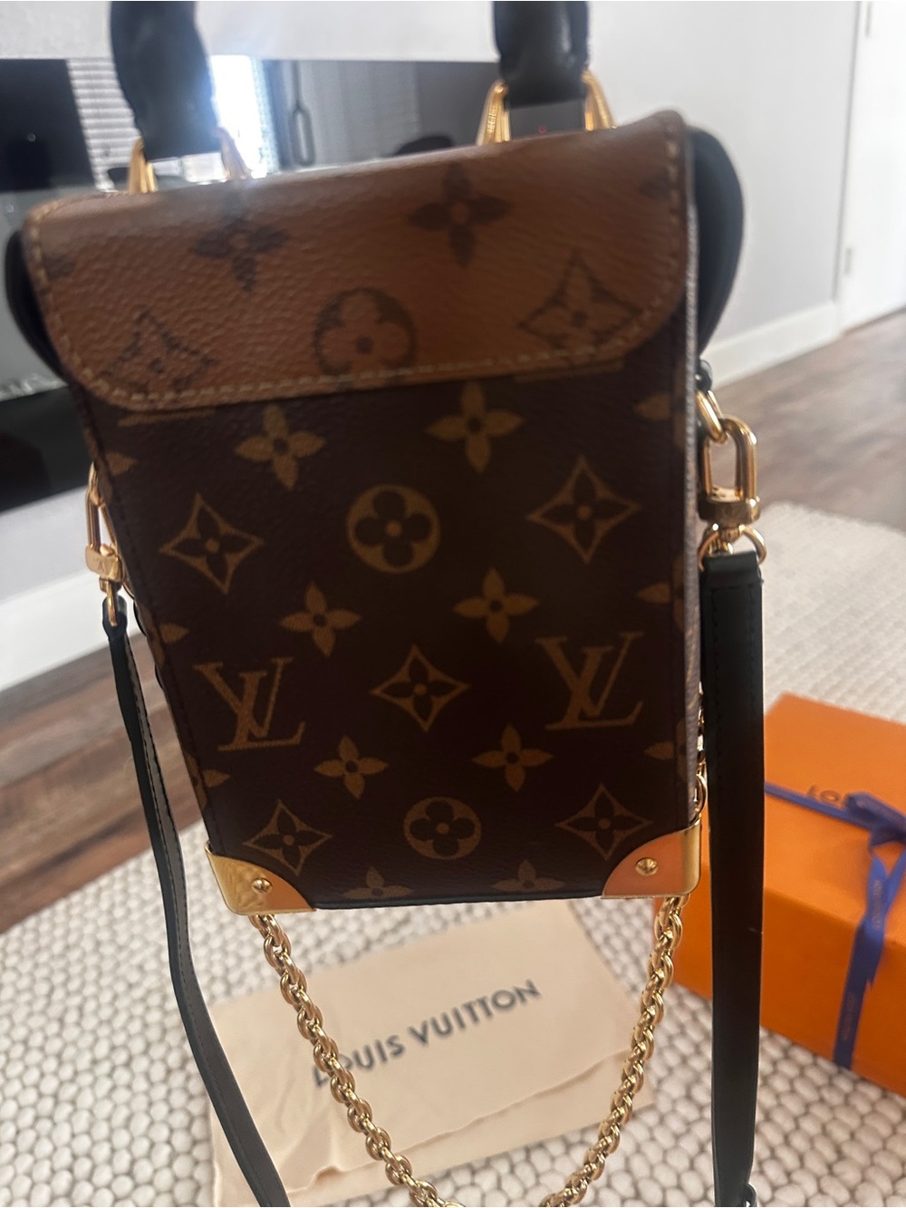 Louis Vuitton Camera Box Bag - Picture 9 of 16